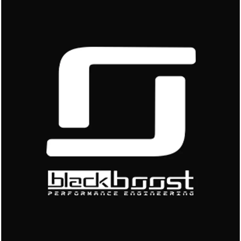 BlackBoost Catless Downpipes | for Porsche Cayenne (958) Turbo M48.52 4.8L V8 Twin-Turbo